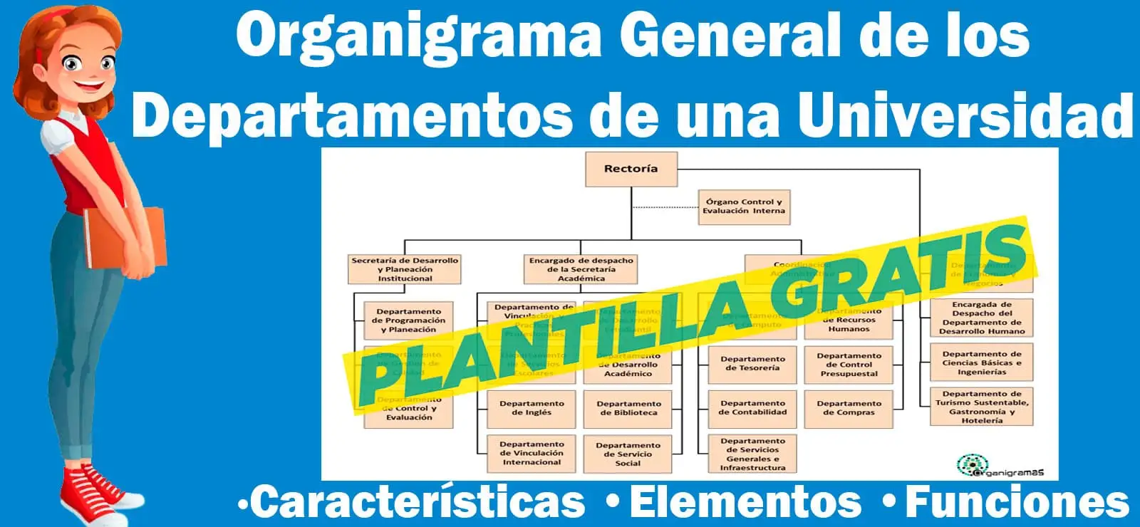 Organigrama Departamentos de una Universidad 2023 Función