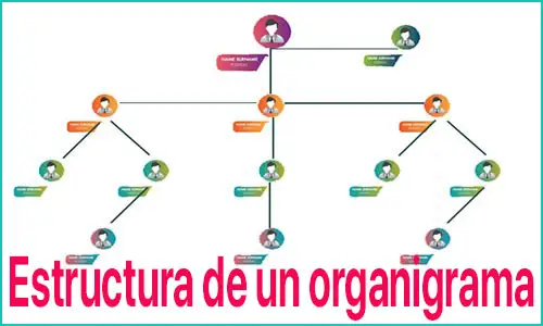 ¿Estructura de un organigrama? - organigramas.com.es