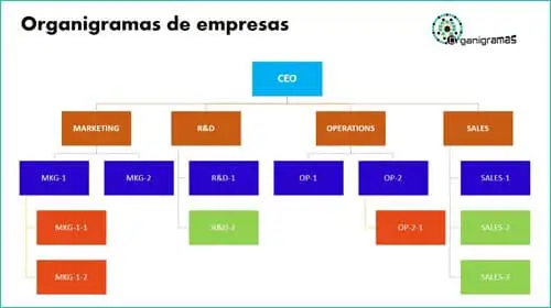 Modelo 1 - Plantillas de ORGANIGRAMAS para empresas - Descarga GRATIS (Formato PPTX) | Sitio web oficial: organigramas.com.es