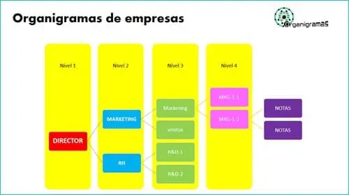 Modelo 13 - Plantillas de ORGANIGRAMAS para empresas - Descarga GRATIS (Formato PPTX) | Sitio web oficial: organigramas.com.es