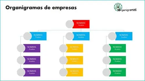 Modelo 30 - Plantillas de ORGANIGRAMAS para empresas - Descarga GRATIS (Formato PPTX) | Sitio web oficial: organigramas.com.es