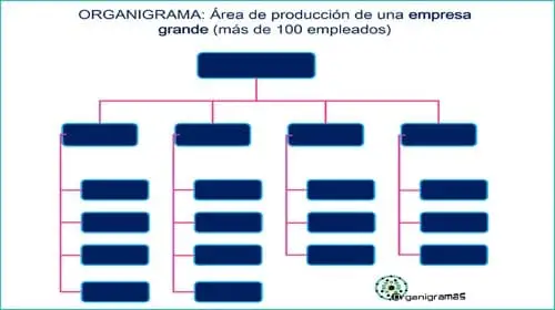 Modelo #43 - Plantillas de organigramas en blanco - Lista para rellenar "Descarga Gratis" | Sitio web oficial: organigramas.com.es