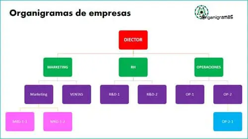 Modelo 7 - Plantillas de ORGANIGRAMAS para empresas - Descarga GRATIS (Formato PPTX) | Sitio web oficial: organigramas.com.es