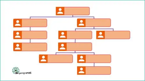 Modelo #7 - Plantillas de organigramas en blanco - Lista para rellenar "Descarga Gratis" | Sitio web oficial: organigramas.com.es