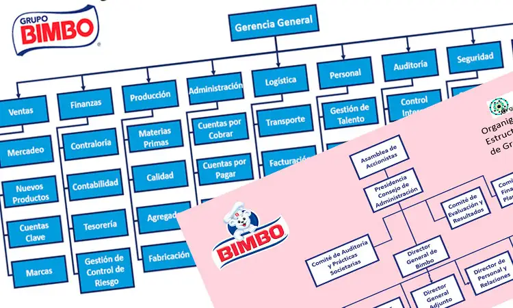 Organigrama General de BIMBO - Plantillas Gratis 100% Personalizable | Sitio Web Oficial organigramas.com.es