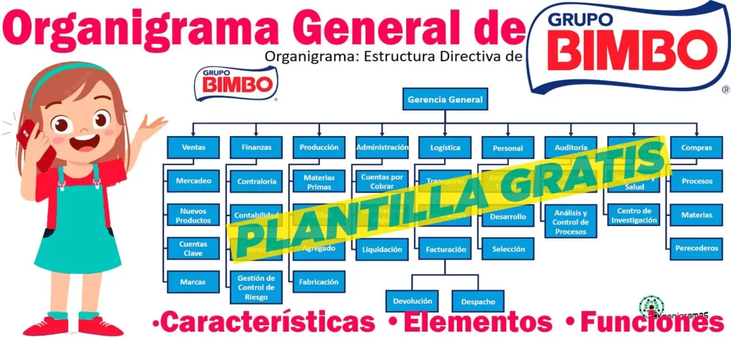 Organigrama General de Bimbo - Características, Elementos y Funciones - Incluye Plantilla Gratis | Sitio Web Oficial organigramas.com.es