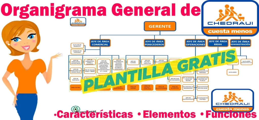 Organigrama General de Chedraui - Características, Elementos y Funciones - Incluye Plantilla Gratis | Sitio Web Oficial organigramas.com.es