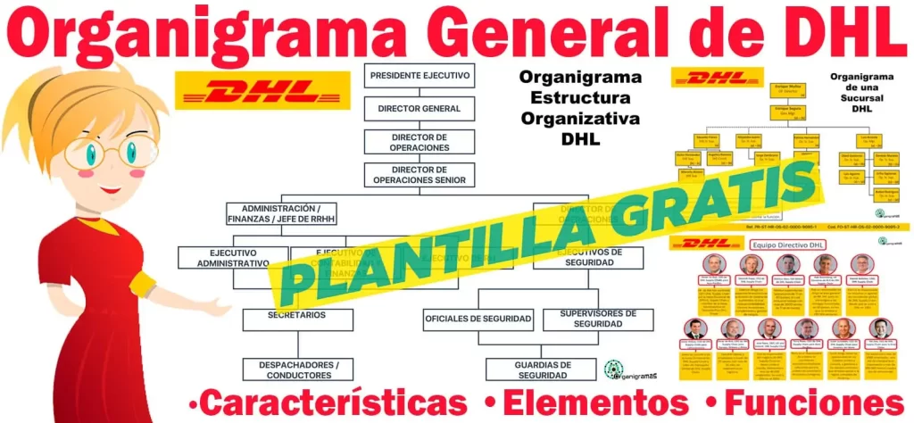Organigrama General de DHL (empresa de envíos) - Características, Elementos y Funciones - Incluye Plantilla Gratis | Sitio Web Oficial organigramas.com.es