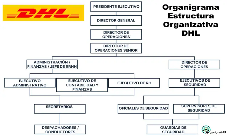 Organigrama General de DHL “Administración Directiva” - Plantilla Gratis 100% Personalizable | Sitio Web Oficial organigramas.com.es