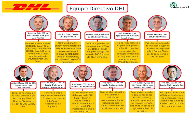 Organigrama General de DHL “Equipo Directivo” - Plantilla Gratis 100% Personalizable | Sitio Web Oficial organigramas.com.es