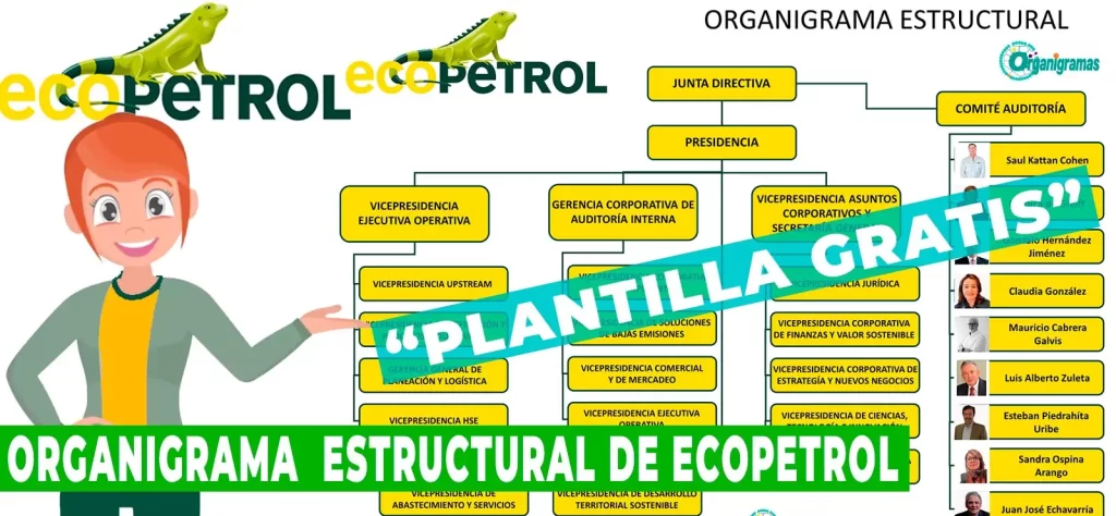 Organigrama General de ECOPETROL Características, Elementos y Funciones (plantilla gratis) | Sitio Web Oficial organigramas.com.es