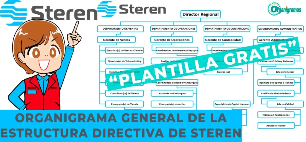 Organigrama General de Steren Características, Elementos y Funciones (plantilla gratis) | Sitio Web Oficial organigramas.com.es