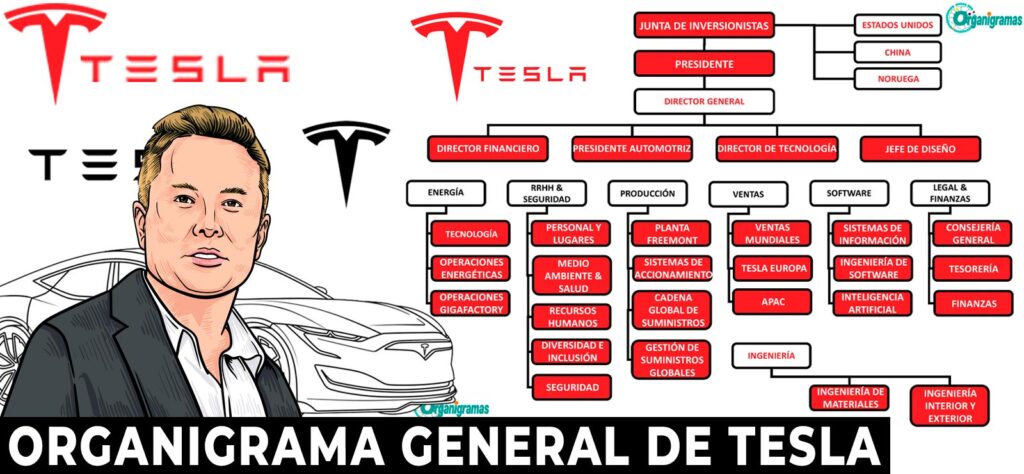Organigrama General de Tesla Características, Elementos y Funciones (plantilla gratis) | Sitio Web Oficial organigramas.com.es