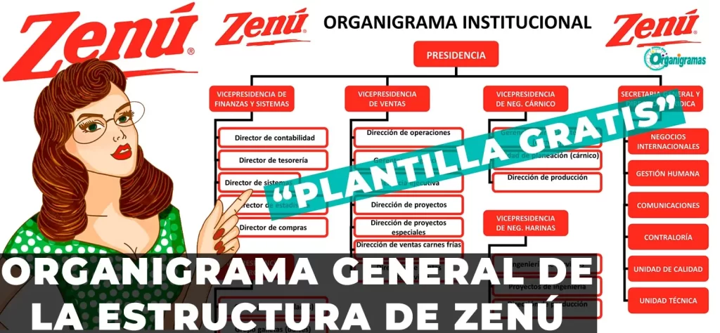 Organigrama General de Zenú Características, Elementos y Funciones (plantilla gratis) | Sitio Web Oficial organigramas.com.es