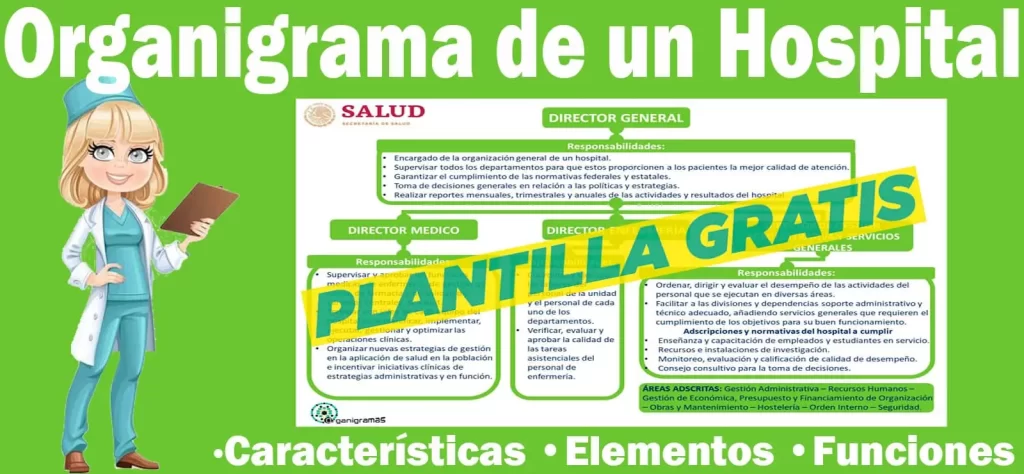 Organigrama General de un Hospital - Características, Elementos y Funciones - Incluye Plantilla Gratis | Sitio Web Oficial organigramas.com.es