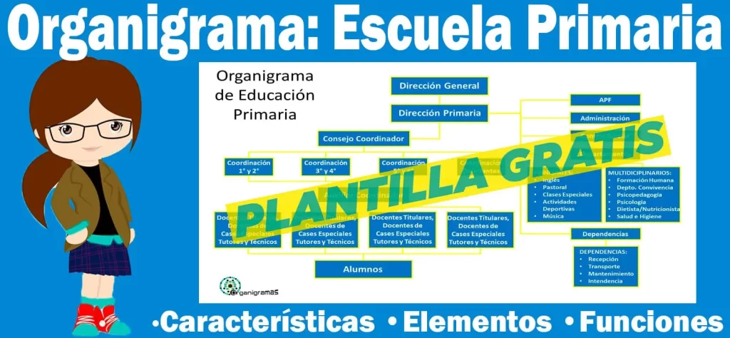 Organigrama General de una Escuela de educación Primaria - Características, Elementos y Funciones - Incluye Plantilla Gratis | Sitio Web Oficial organigramas.com.es