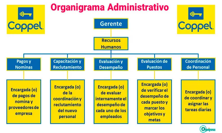 Organigrama General de Coppel “Administración Ejecutiva” - Plantilla Gratis 100% Personalizable | Sitio Web Oficial organigramas.com.es