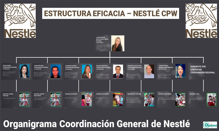 Organigrama General de Grupo Nestlé “Coordinación General: Estructura Eficacia” - Plantilla Gratis 100% Personalizable | Sitio Web Oficial organigramas.com.es
