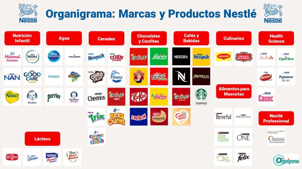 Organigrama Para Un Producto O Servicio ( Actualizado 2024 )