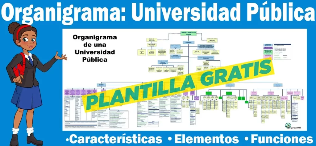 Organigrama General de una Universidad Pública - Características, Elementos y Funciones - Incluye Plantilla Gratis | Sitio Web Oficial organigramas.com.es