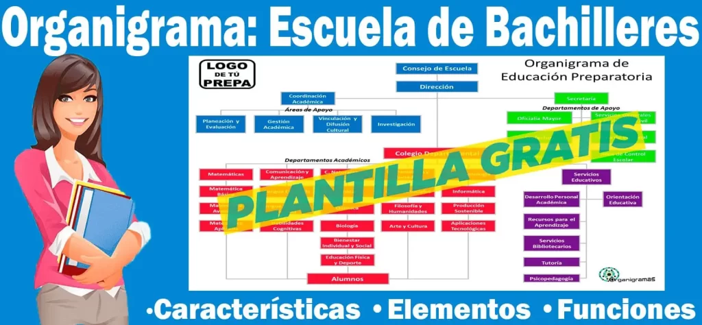 Organigrama General de una Escuela de Bachillerato (PREPA) - Características, Elementos y Funciones - Incluye Plantilla Gratis | Sitio Web Oficial organigramas.com.es