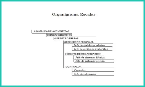 Organigramas Escalar (Descripción, características, función) | Sitio web oficial: organigramas.com.es
