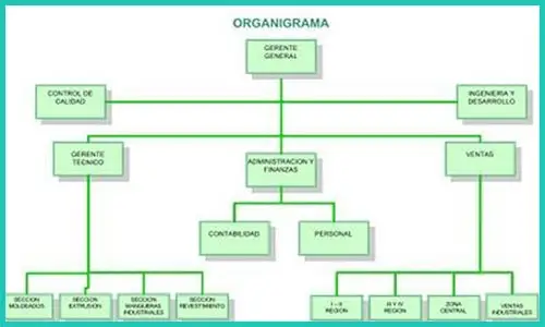 Organigramas Específicos (Descripción, características, función) | Sitio web oficial: organigramas.com.es