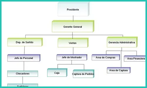 Organigramas Microadministrativos (Descripción, características, función) | Sitio web oficial: organigramas.com.es