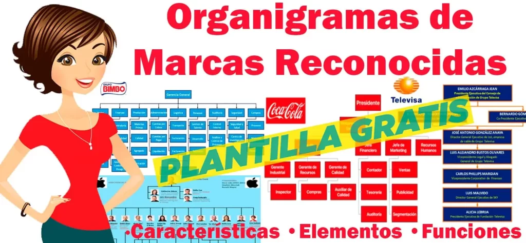 Organigramas de Marcas reconocidas - Características, Elementos y Funciones - Incluye Plantilla Gratis | Sitio Web Oficial organigramas.com.es