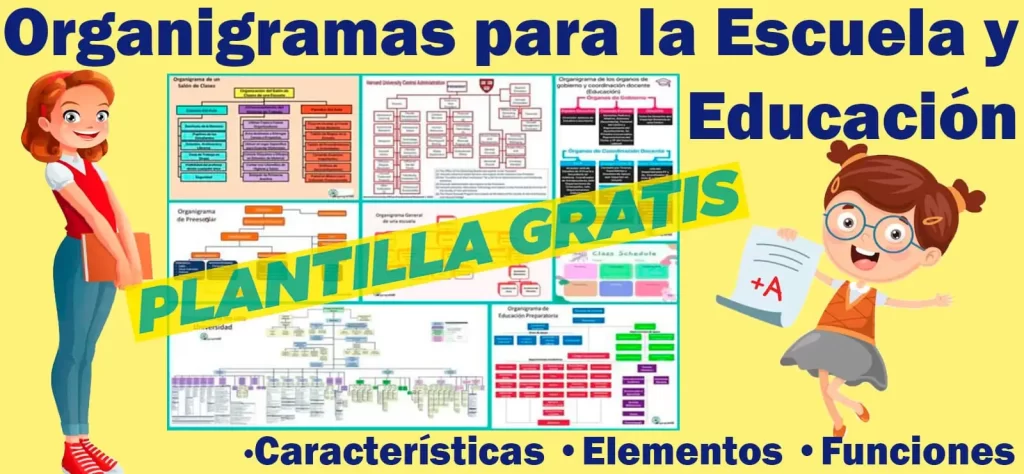 Organigramas para la Escuela y Educación - Características, Elementos y Funciones - Incluye Plantilla Gratis | Sitio Web Oficial organigramas.com.es